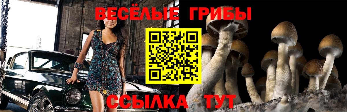 Псилоцибиновые грибы GOLDEN TEACHER  Вход с VPN  Назрань 