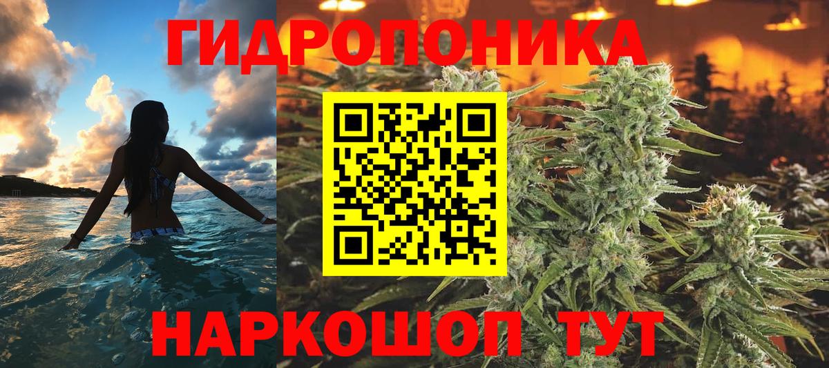 Галлюциногенные грибы Назрань